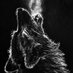 Alpha (@kingshillaa) Twitter profile photo Alpha (@kingshillaa) Twitter profile photo