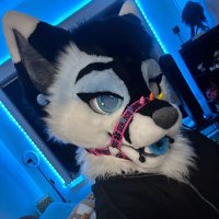 Blue π Furrydelphia (@bluef0xx_) 's Twitter Profile