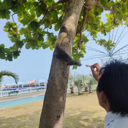 KitKitkit81301's profile picture. 