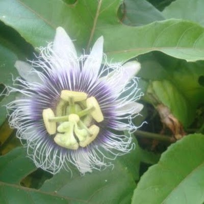 CarmenTRodri24's profile picture. 