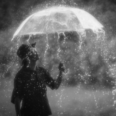 merimerimery1's profile picture. 写真活動はInstagramメインです