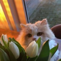 𝗯𝘁 (@bbwwtt27) 's Twitter Profile