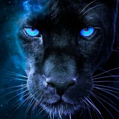 Gamer🎮🕹️⚔️🖥️, Graphics designer@🎨📸🎬🎞️, Music lover🎹🥁🎧🎶🎼 &..... 🧙🏾♂️. Introverted above all 🤪🤡👻, overthink everything 🤔🧠💭. WAKANDA FOREVER!