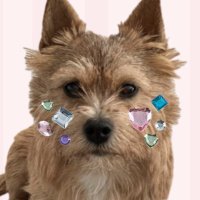 ୨ৎ (@bamsungie) 's Twitter Profile Photo ୨ৎ (@bamsungie) 's Twitter Profile Photo