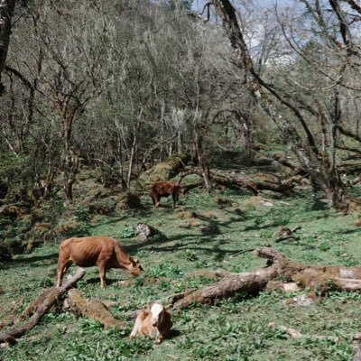 eggchang_0816's profile picture. 勇气智慧永不减