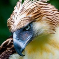 Kalgamer710 (@kalgamer710) 's Twitter Profile
