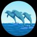 Eke Ocean Assets Management (@anonymo18403348) Twitter profile photo Eke Ocean Assets Management (@anonymo18403348) Twitter profile photo