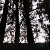 Nathaniel ☢️ (@natorleans63) 's Twitter Profile