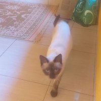 ajibbbbbb (@znajibb) 's Twitter Profile