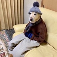 Frenzy (@otfrenzy) 's Twitter Profile