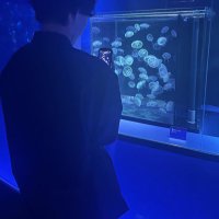 かぜ (@ai04719) 's Twitter Profile