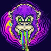 Psychedelics Psilocybin Mushieszone (@psliocybin) 's Twitter Profile