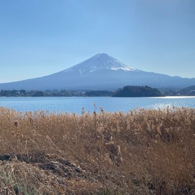 WustTom's profile picture. 25