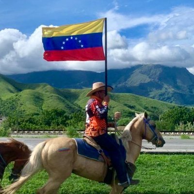 lNealXero's profile picture. 🇪🇸🇻🇪 22. Full stack introvert