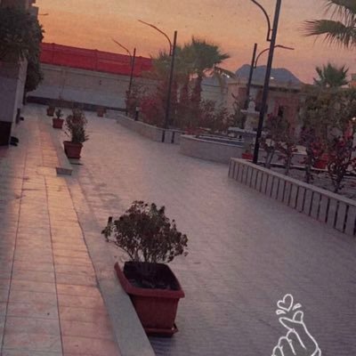 QueenAs16889569's profile picture. ✨🌸✨