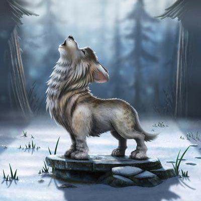 SpiritGuideWolf's profile picture. Just a little Naturist Wolf 🐾 howlin' at the Moon 🌖 Awoo! 🐺