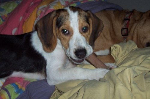 mermercad's profile picture. CAD Designer for land planning and civil engineering firm in Maryland.