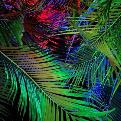 bz_daddy33304's profile picture. 