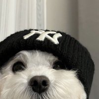 BenZz FREE 💰 (@mini66889) 's Twitter Profile Photo BenZz FREE 💰 (@mini66889) 's Twitter Profile Photo