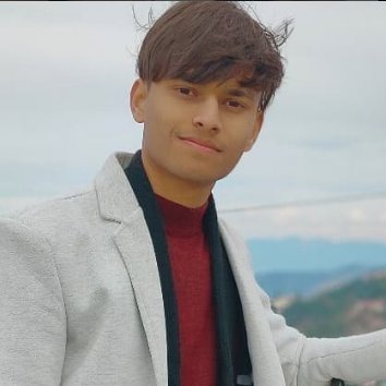 devnMehrakartik's profile picture. Programmer