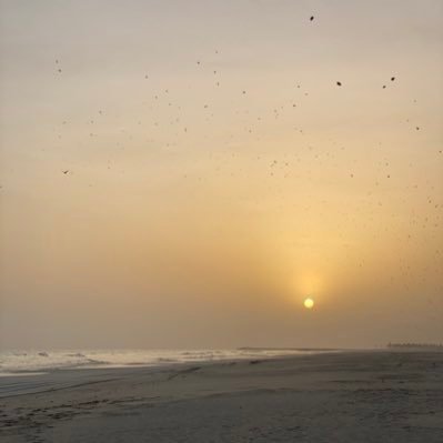 MohammedAlmush4's profile picture. ستعرف الكثير بمجرد متابعتك لهذا الحساب