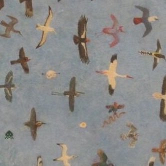 ddjjkk00's profile picture. 