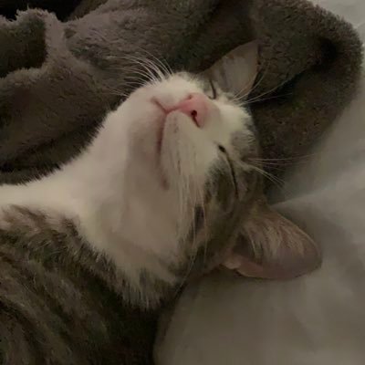 bylinasview's profile picture. turning into a x girly