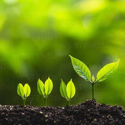 AmaliyarDipika's profile picture. 