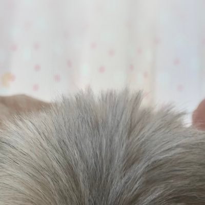みるるんさんのプロフィール画像
