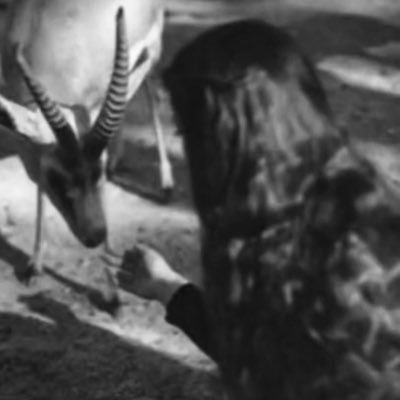 ssalaama_'s profile picture. اللهم أرحم أمي فهي أغلى مافقدت..