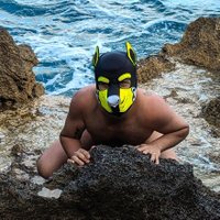 Newt (@newtpup) 's Twitter Profile Photo Newt (@newtpup) 's Twitter Profile Photo