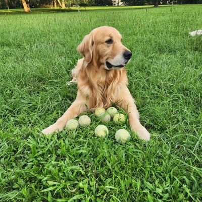 DR1FLA's profile picture. 