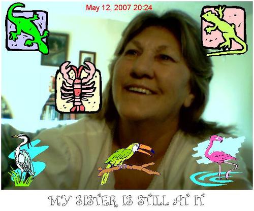 turttledove's profile picture. Live on top of a mountain,grow Herbs to sell,sell Brown Eggs,Spiritual Adviser,Help Homeless and Vets,Food for needy.Me 2 dogs,run the woods,creek,river luv it