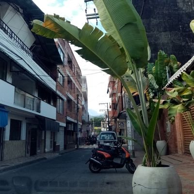 Colombiano