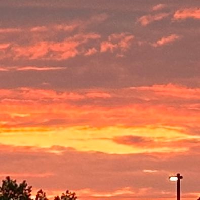 thompson_bird's profile picture. Believer. Husband. Father of two. **Leave it Better than you Found it.**