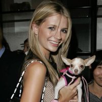 GiGi (@bcrevelacion) Twitter profile photo