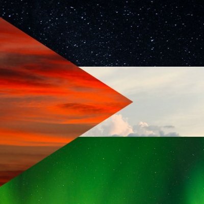 GhariYouness's profile picture. FREE , FREE PALESTINE  🇵🇸 🇵🇸 🇵🇸