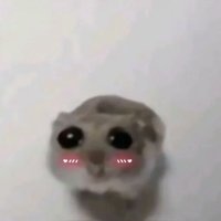 🤟 (@97chasekids) 's Twitter Profile