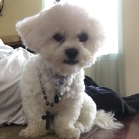 Eli (@elibrock13) 's Twitter Profile Photo Eli (@elibrock13) 's Twitter Profile Photo