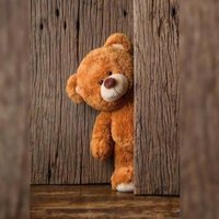 26. (@temphiz) 's Twitter Profile Photo