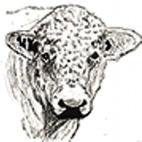 Whitebred Shorthorn (@whiteshorthorn) 's Twitter Profile