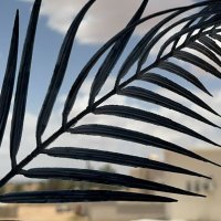 REHAB | رِحاب (@fin_rehab) 's Twitter Profile Photo