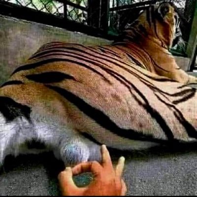 GazMan_86's profile picture. 🇬🇧🇬🇧