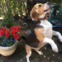 Sally (@lalann80) 's Twitter Profile