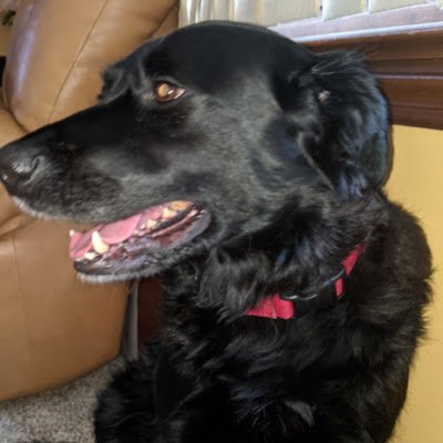 Trailanderror24's profile picture. 