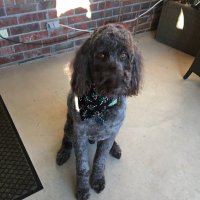 Walkmansdad (@markbass363803) 's Twitter Profile Photo