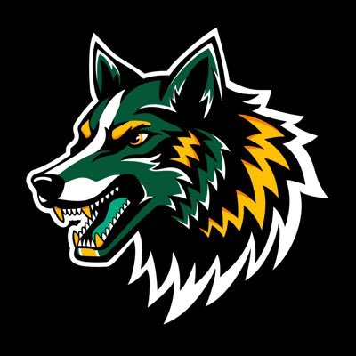 Official Twitter of the @uaanchorage Esports | Currently fielding teams in RL, SSBU, R6 Siege, League of Legends, and OW2 | Email: uaa_esports@alaska.edu