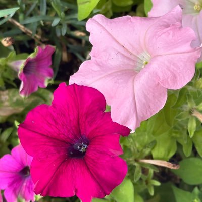 YaelB2020's profile picture. 