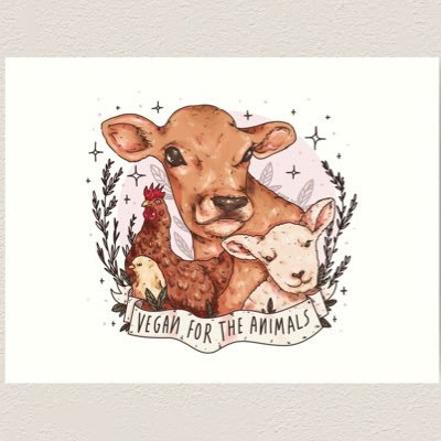Descomplicando a alimentação šæ a base de š©š½āš¾š±| Nutrição (UFSC)