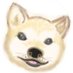 nyun (@erickqchan) Twitter profile photo nyun (@erickqchan) Twitter profile photo